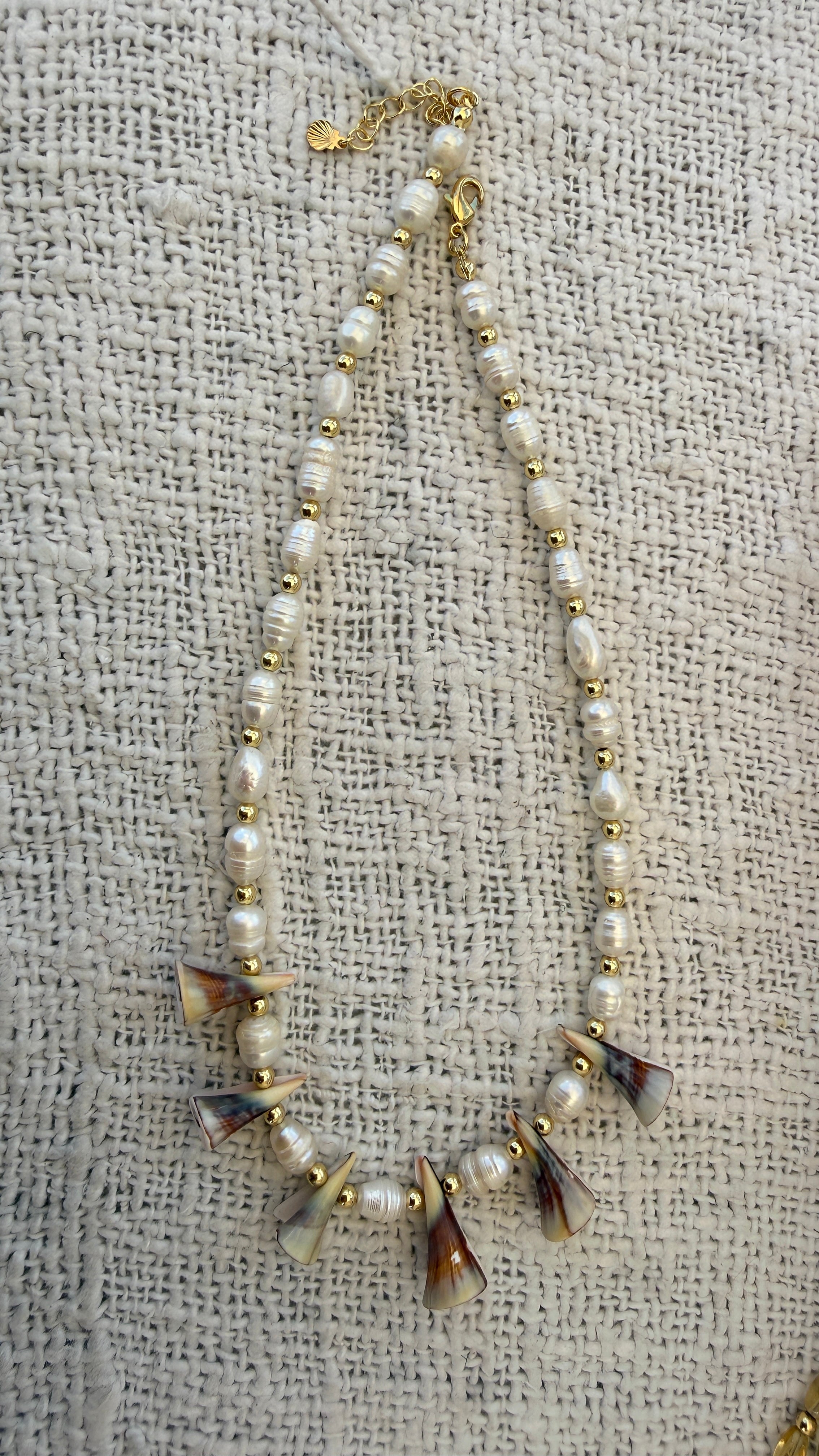 swirl shell necklace
